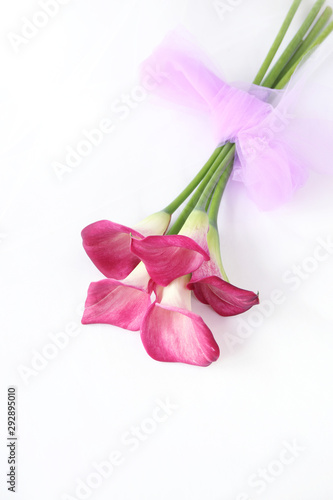Fototapeta Naklejka Na Ścianę i Meble -  チュールのリボンをつけたカラーの花束