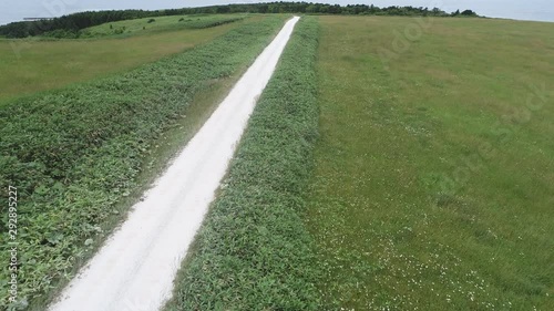 宗谷丘陵 白い道 ドローン空撮4