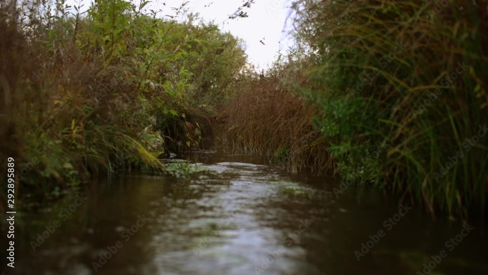 a calm wide stream flows among tall grass. Tunnel of grass over water a calm wide stream flows among tall grass. Tunnel of grass over water