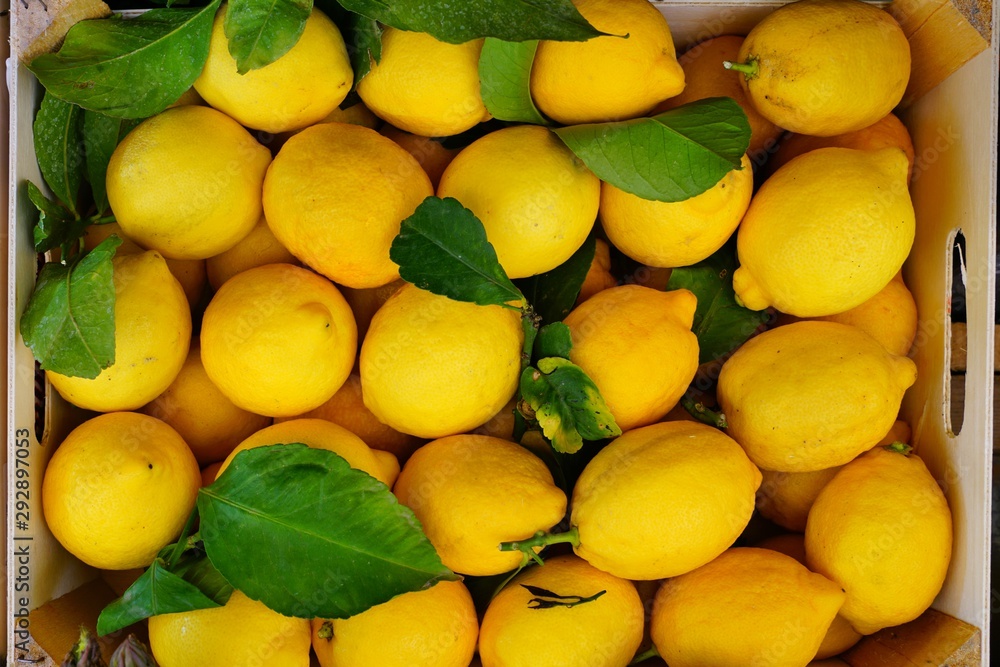 Crate of fresh yellow organic lemons
