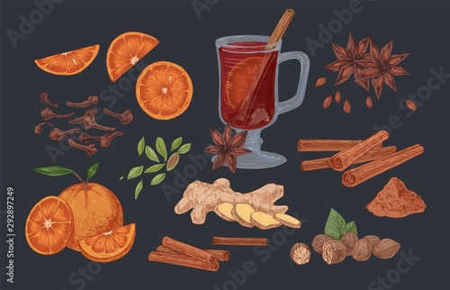 Mulled wine and spices hand drawn vector illustrations set. Flavoring seeds and herbs realistic color isolated cliparts pack. Winter season traditional drink ingredients. Ginger root, cinnamon sticks.