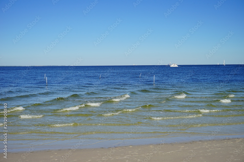 St petersburg beach and sea gull