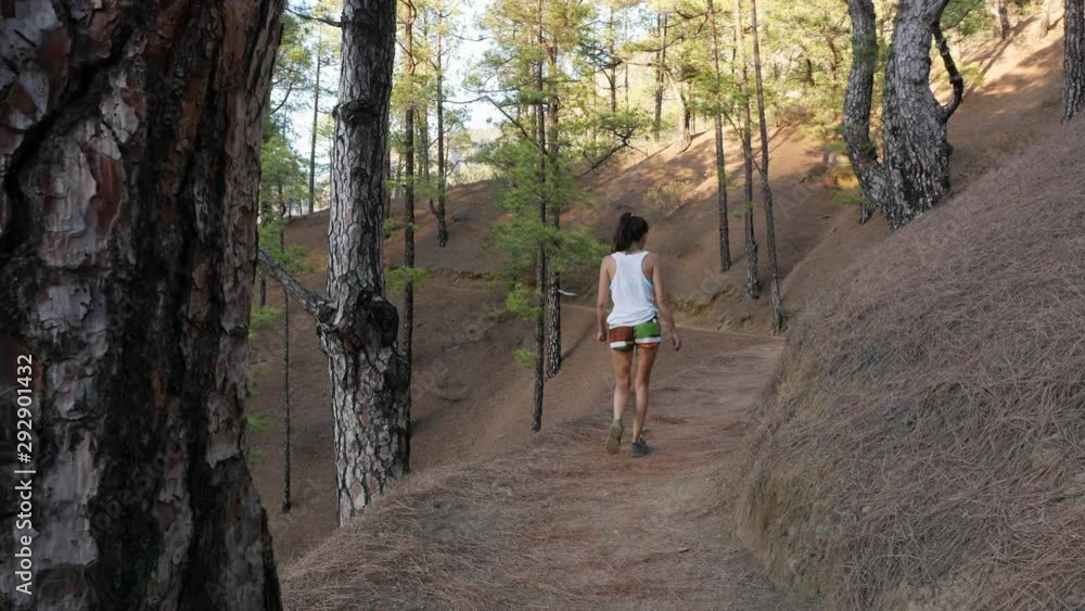 Young Active Woman Hiking Along Beautiful Green Forest Taburiente National Park Young Active Woman Hiking Along Beautiful Green Forest Taburiente National Park