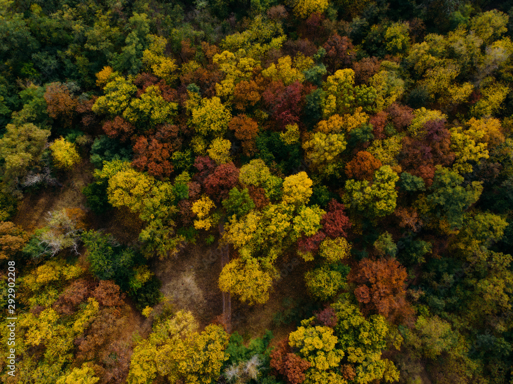 A wonderful view from the drone on a colorful autumn forest. A wonderful view from the drone on a colorful autumn forest.