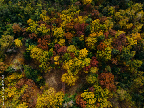 A wonderful view from the drone on a colorful autumn forest.