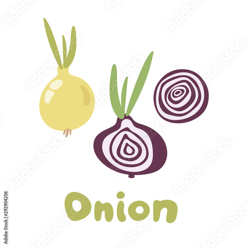 Fototapeta Naklejka Na Ścianę i Meble -  Fresh Vegetable Onion isolated icon. Onion for farm market, vegetarian salad recipe design. Vector illustration in flat style