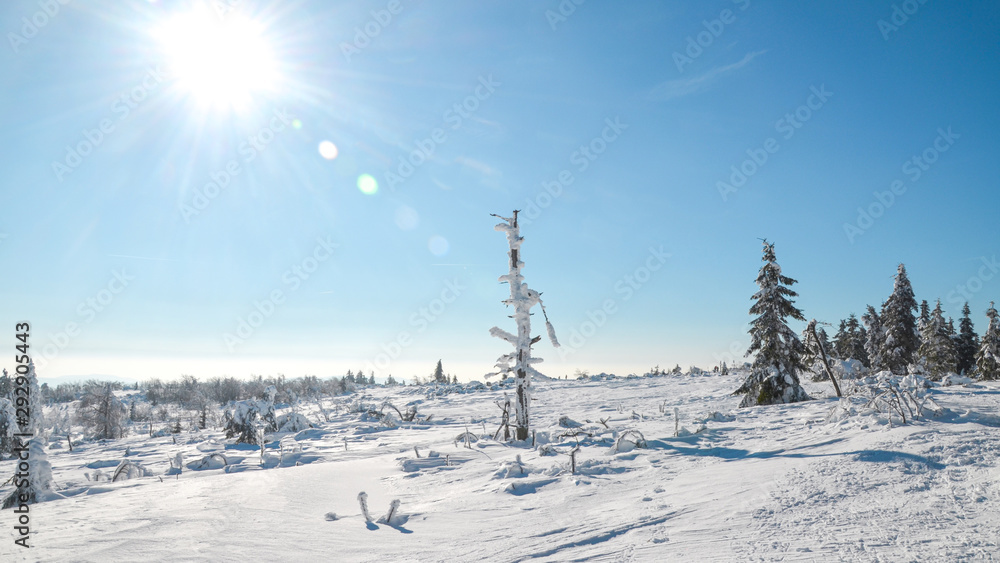 Stunning panorama of snowy landscape in winter in Black Forest - winter wonderland Stunning panorama of snowy landscape in winter in Black Forest - winter wonderland