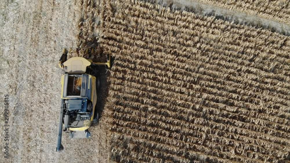 Aerial top down view on a combine harvesting in a cornfield on a sunny afternoon Aerial top down view on a combine harvesting in a cornfield on a sunny afternoon