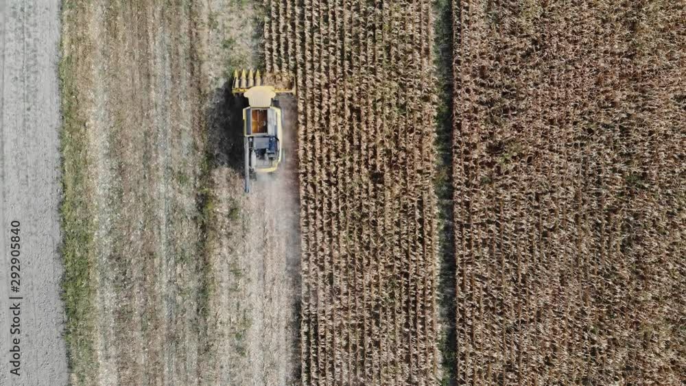 Aerial top down zooming out on yellow combine harvesting the cornfield on a sunny day Aerial top down zooming out on yellow combine harvesting the cornfield on a sunny day