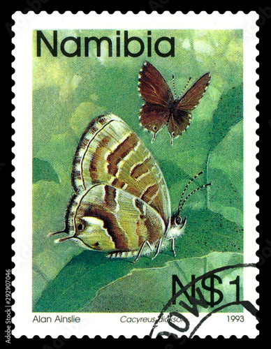 Postage stamp. Butterfly  Cacyreus dicksoni. photo