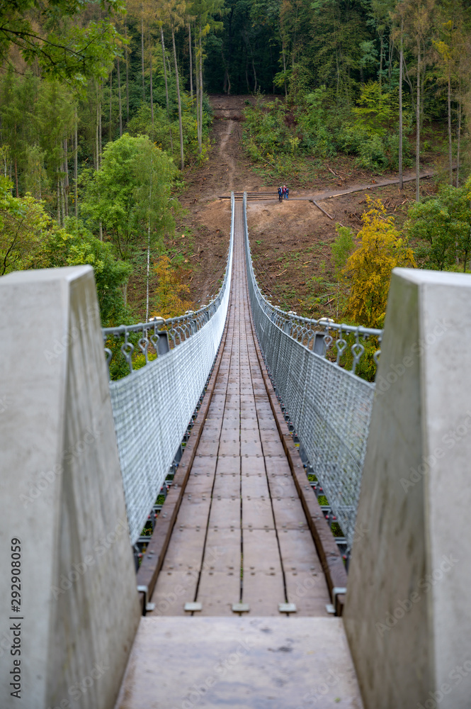 Obraz premium Hängeseilbrücke über dem Bärental in der Hohen Schrecke