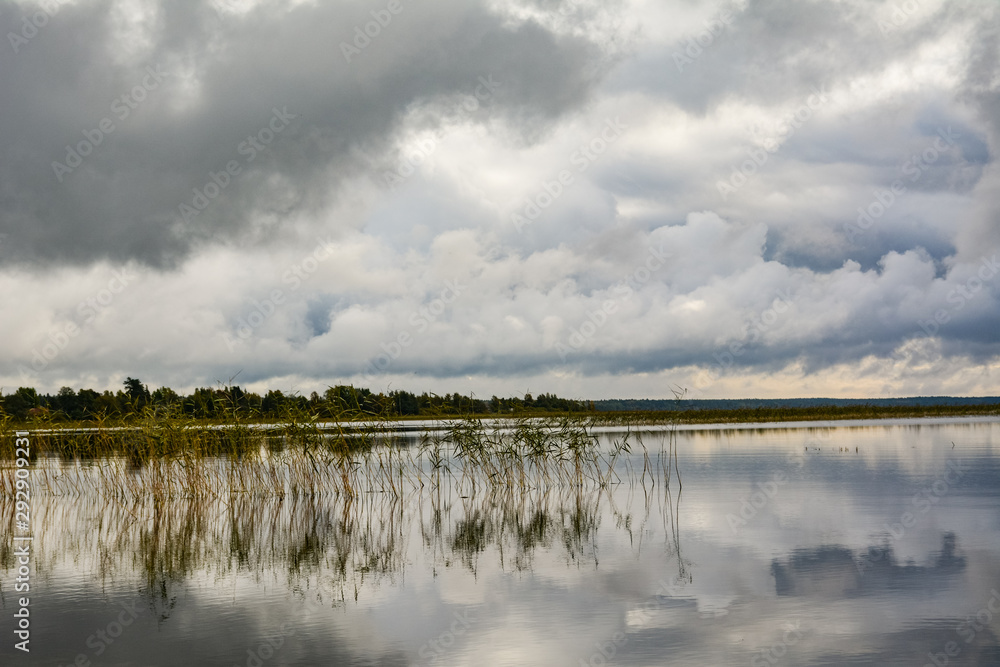 Reeds on the Otradnoe Lake under clouds, Russia