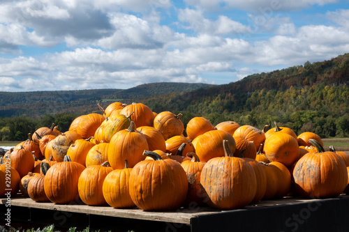 Pumpkins on a wagon with mountains and blue skys behind