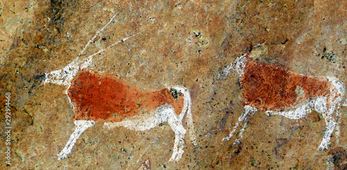 Peintures rupestres de Brandberg Mountain (Damaraland) - Namibie photo