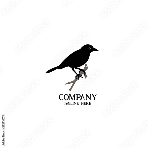 bird t shirt logo illustration design vector