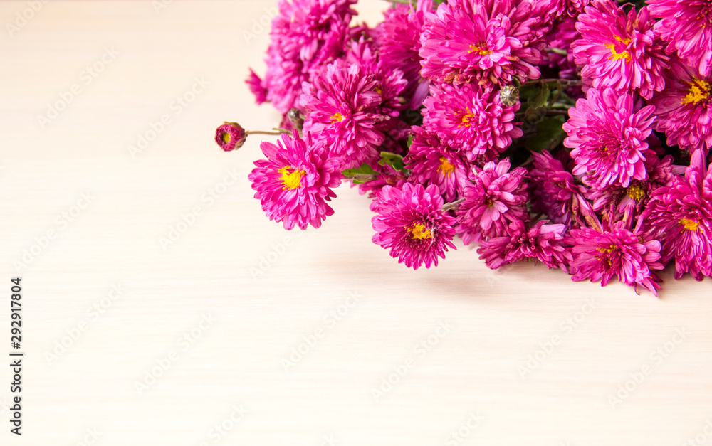 Obraz premium Flower background. Lilac chrysanthemum flowers on white wooden background, copy space. Flowers composition. 8 March, mother day, Valentines day background. Autumn flower. Flower card. Holiday postcard