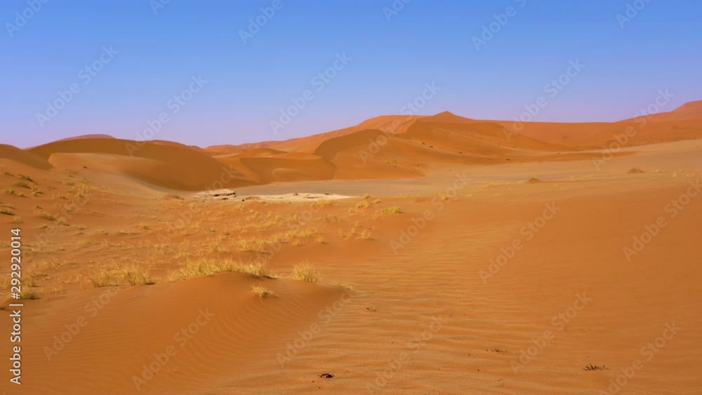 The Namib desert dunes near Sossusvlei in Namibia in Africa. The Namib desert dunes near Sossusvlei in Namibia in Africa.