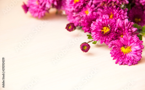 Flower background. Lilac chrysanthemum flowers on white wooden background, copy space. Flowers composition. 8 March, mother day, Valentines day background. Autumn flower. Flower card. Holiday postcard