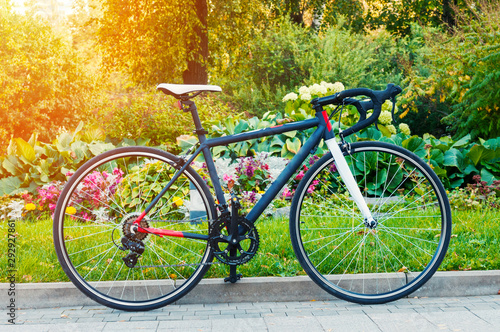 Race road bicycle in summer park