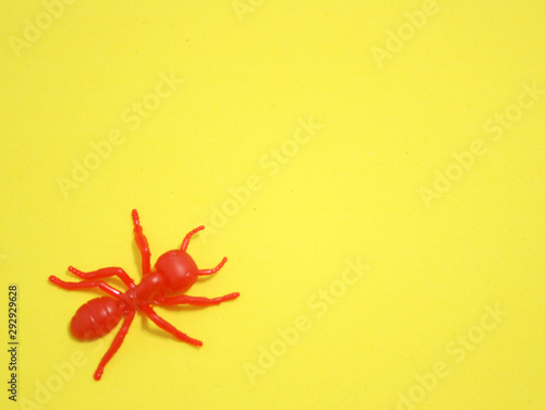 RED ANT ON YELLOW BACKGROUND