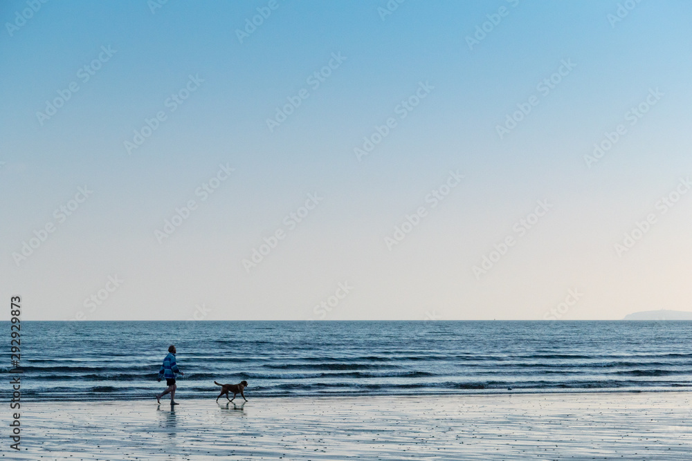 A man and his dog take a walk along the seashore
