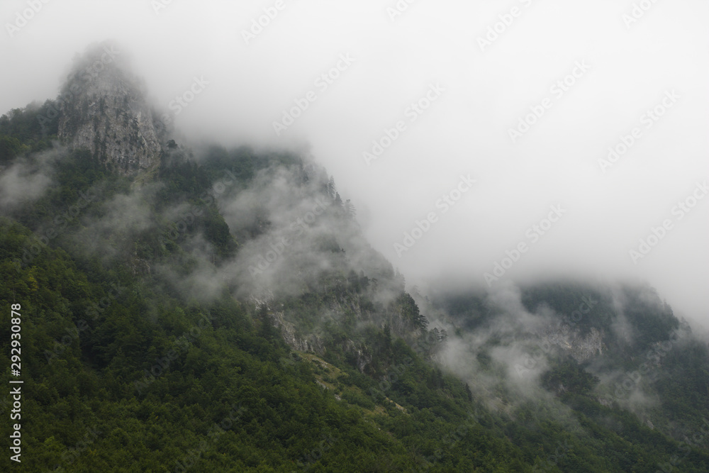 Clouds rising from mountain forest