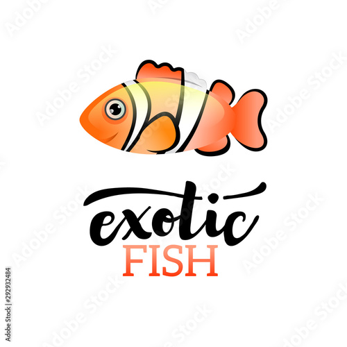 Exotic Clown fish color icon