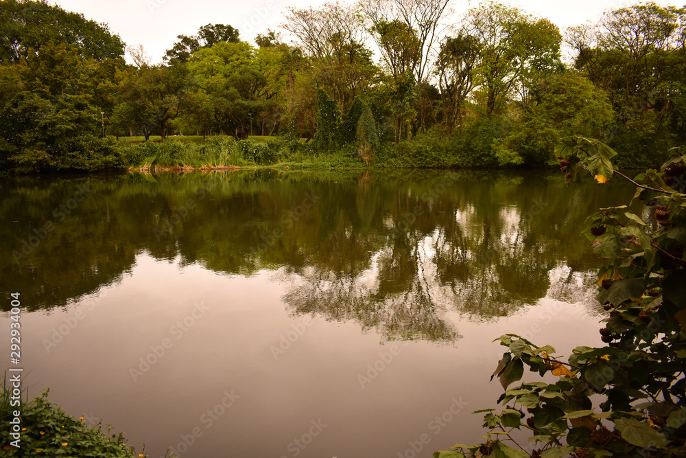 Lago em parque com reflexo de árvores