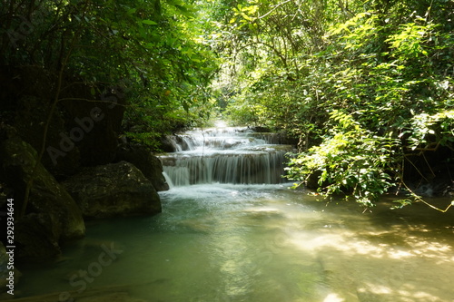 waterfall in forest