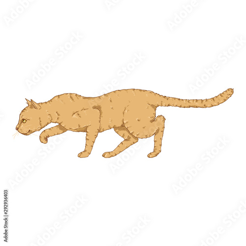 Sneaking Cat. Vector Cartoon Feline Illustration