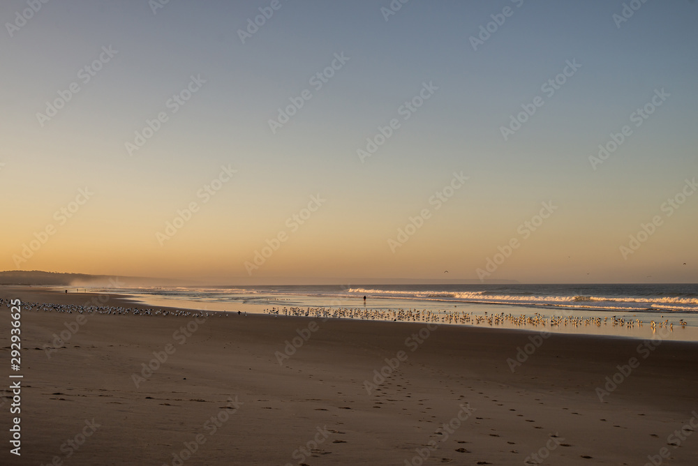 People on a desert beach at sunrise for themorning walk