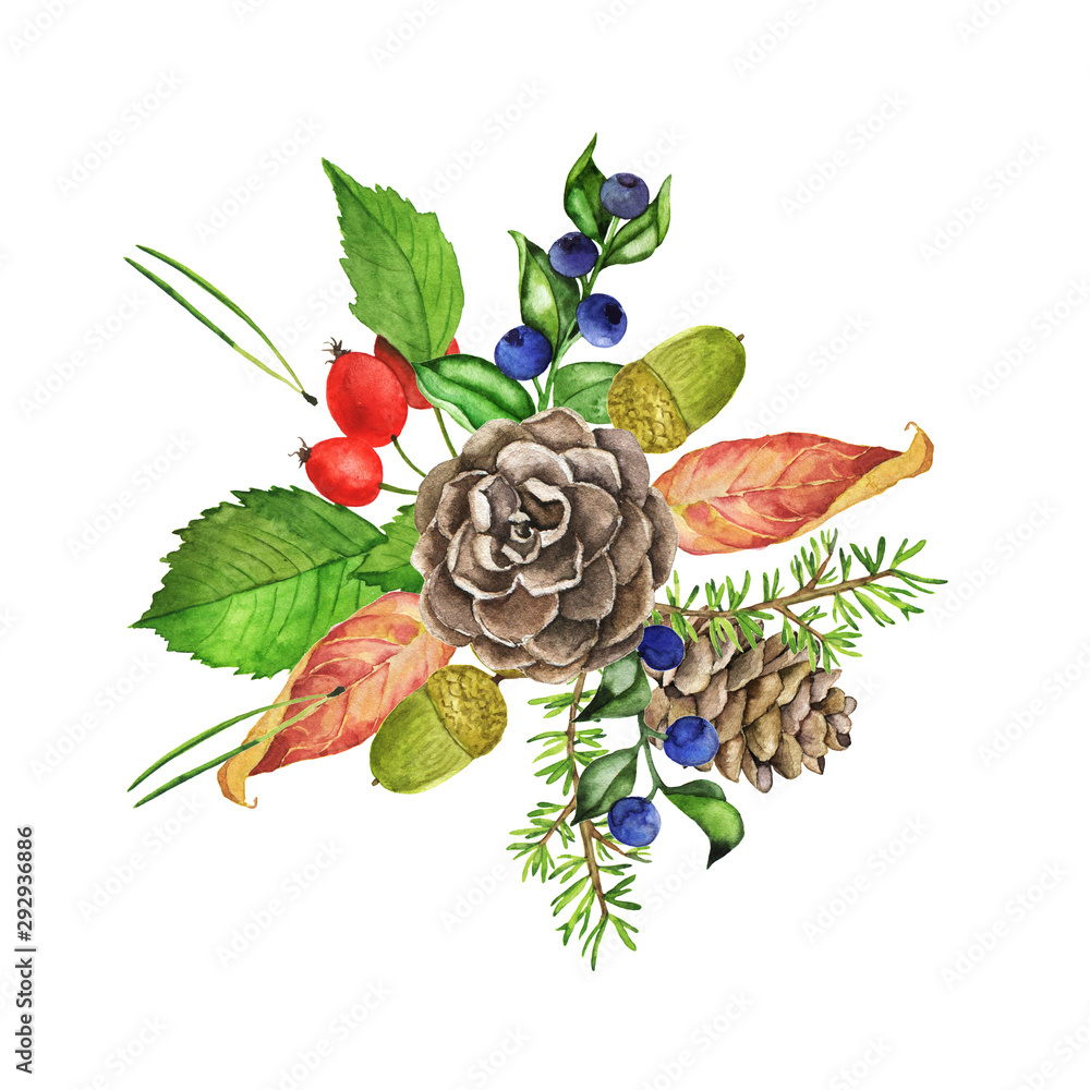 Obraz premium Autumn leaves, pine cone and branch, acorns and red berry bouquet isolated on white background. Hand drawn watercolor illustration. A