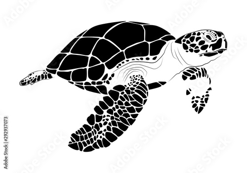 graphic sea turtle,vector illustration of sea turtle
