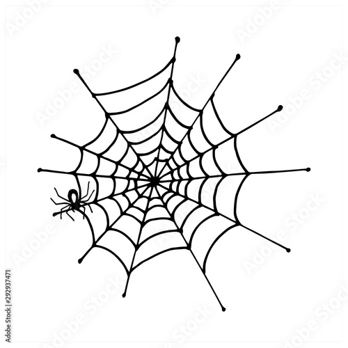Spiderweb. Vector, isolated on white background. Black and white.