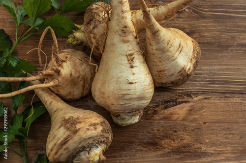  Parsnip roots lie on a brown wooden surface, top view, close-up