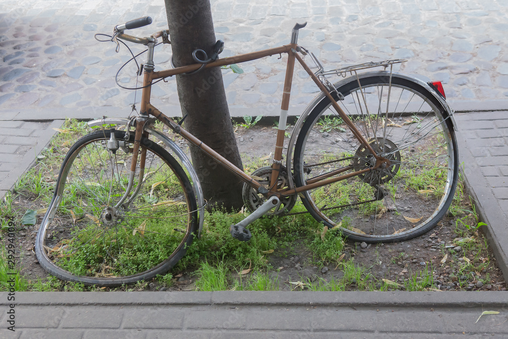 broken bike with curved wheels fastened to a tree