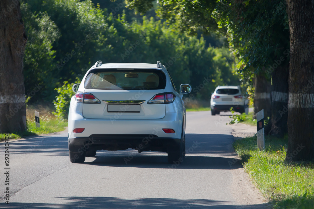 car moves on the road in oak alley