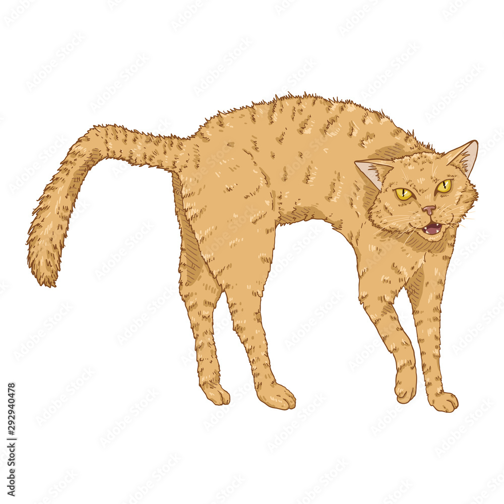Bristling Cat. Vector Cartoon Feline Illustration Stock Vector Adobe