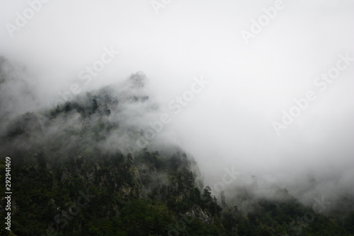 Fototapeta Naklejka Na Ścianę i Meble -  Clouds rising from mountain forest
