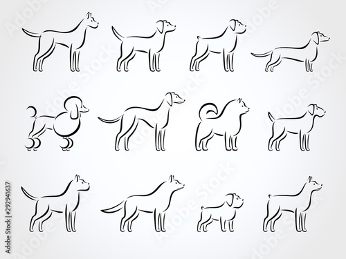 Dogs set. Collection icon dog. Vector