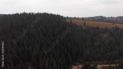 Flying over Pine Forest in Romaina Drone footage over Pine Forest in Romaina photo