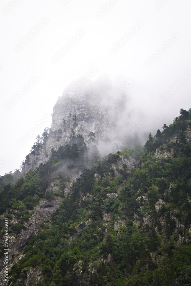 Clouds rising from mountain forest