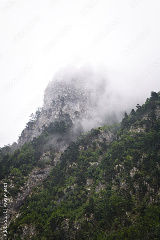Fototapeta premium Clouds rising from mountain forest