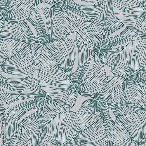 Tropical pattern, botanical leaf seamless pattern. Monstera leaves backdrop.