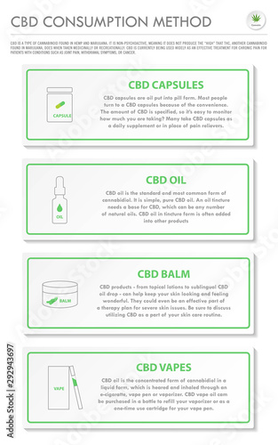 CBD Consumption Method vertical business infographic illustration about cannabis as herbal alternative medicine and chemical therapy, healthcare and medical science vector.