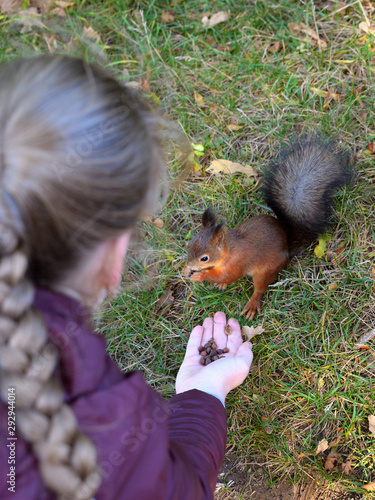 Girl feeding Eurasian red squirrel (Sciurus vulgaris) outdoor