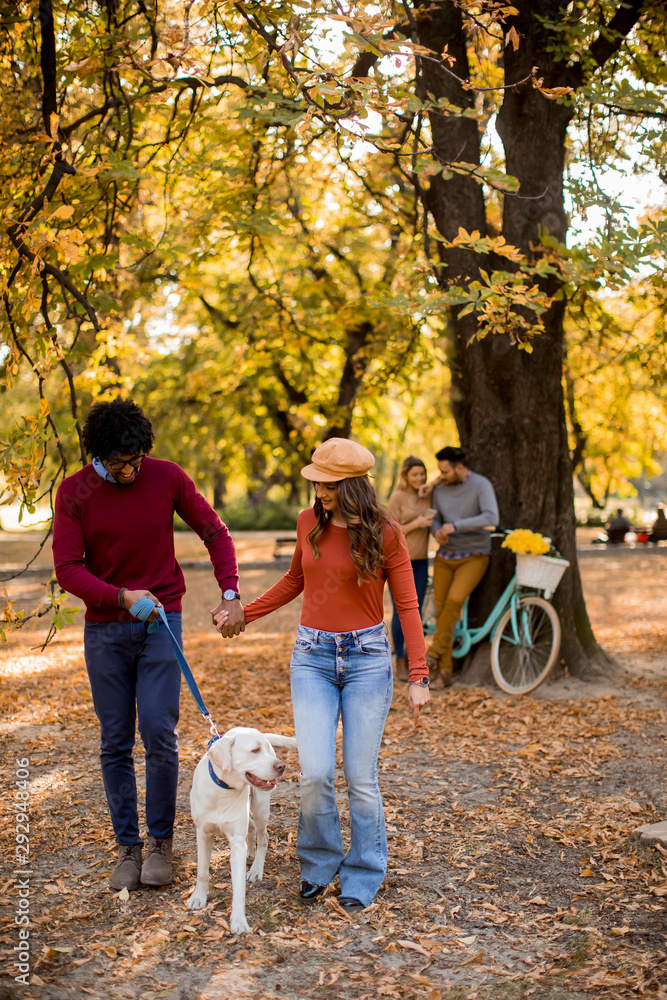 Multiracial couple walking with dog in autumn park Multiracial couple walking with dog in autumn park