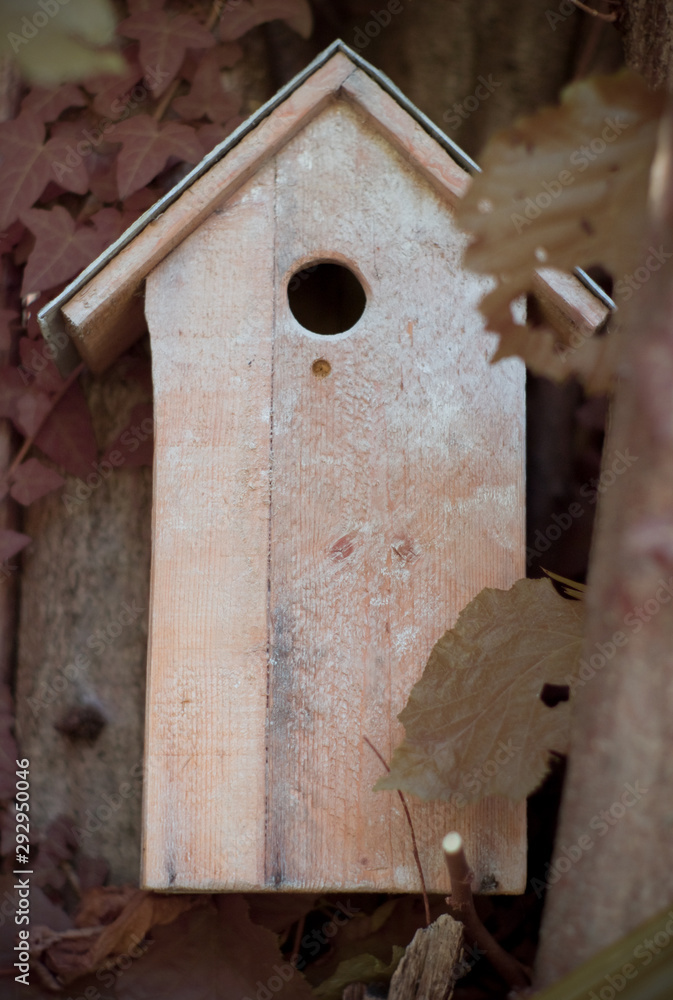 wooden birdhouse on tree
