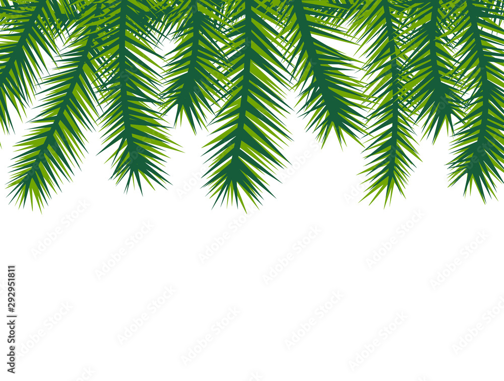 Fir tree branch Christmas background