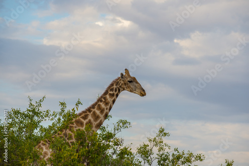 Namibia